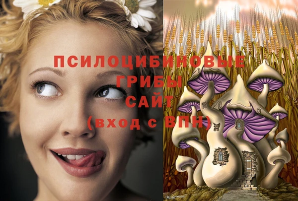 круглые Абаза